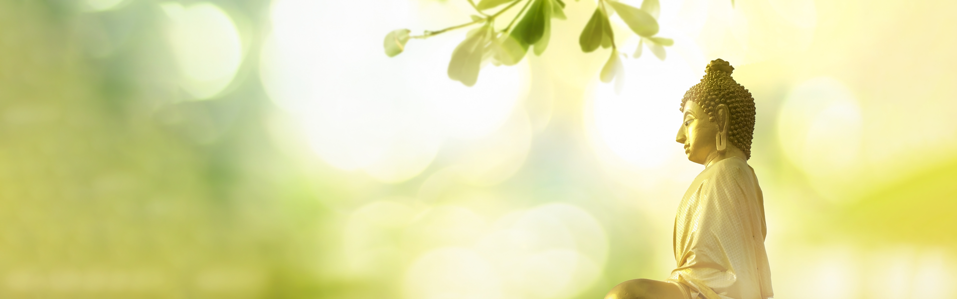 headerbild-danke-mayoka headerbild-danke-mayoka